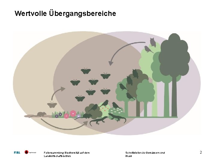 Wertvolle Übergangsbereiche Foliensammlung Biodiversität auf dem Landwirtschaftsbetrieb Schnittstellen zu Gewässern und Wald 2 