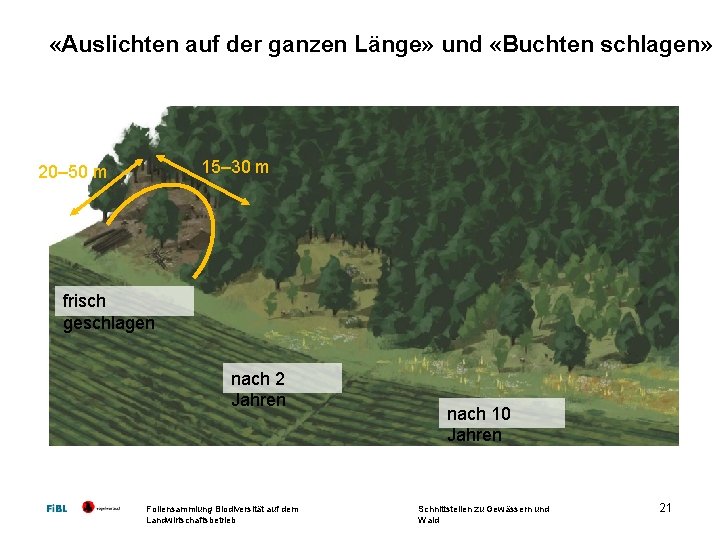  «Auslichten auf der ganzen Länge» und «Buchten schlagen» 15– 30 m 20– 50 m frisch