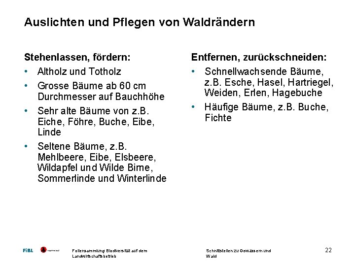 Auslichten und Pflegen von Waldrändern Stehenlassen, fördern: • Altholz und Totholz • Grosse Bäume