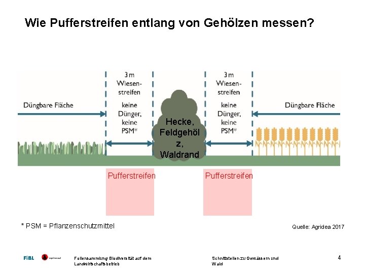 Wie Pufferstreifen entlang von Gehölzen messen? Hecke, Feldgehöl z, Waldrand Pufferstreifen * PSM =