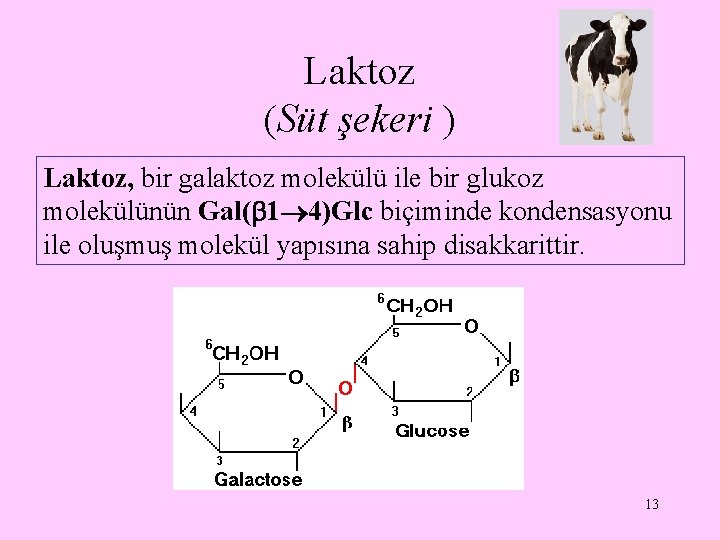 Laktoz (Süt şekeri ) Laktoz, bir galaktoz molekülü ile bir glukoz molekülünün Gal( 1