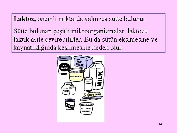 Laktoz, önemli miktarda yalnızca sütte bulunur. Sütte bulunan çeşitli mikroorganizmalar, laktozu laktik asite çevirebilirler.