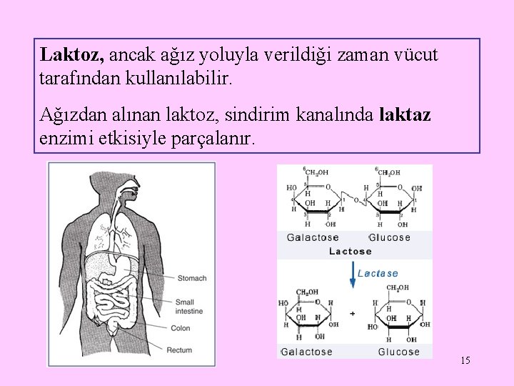 Laktoz, ancak ağız yoluyla verildiği zaman vücut tarafından kullanılabilir. Ağızdan alınan laktoz, sindirim kanalında