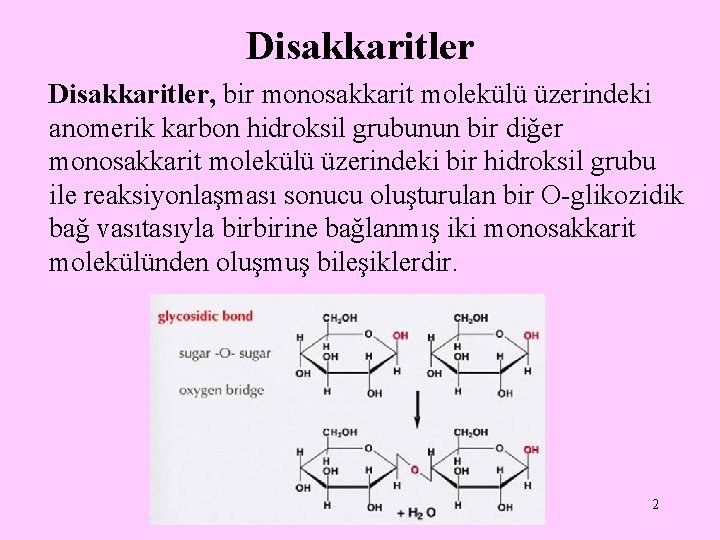 Disakkaritler, bir monosakkarit molekülü üzerindeki anomerik karbon hidroksil grubunun bir diğer monosakkarit molekülü üzerindeki