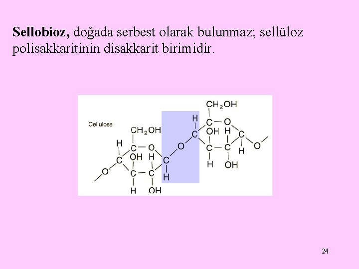 Sellobioz, doğada serbest olarak bulunmaz; sellüloz polisakkaritinin disakkarit birimidir. 24 