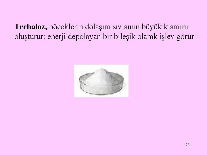 Trehaloz, böceklerin dolaşım sıvısının büyük kısmını oluşturur; enerji depolayan bir bileşik olarak işlev görür.