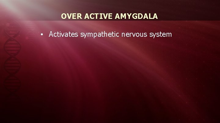 OVER ACTIVE AMYGDALA • Activates sympathetic nervous system 