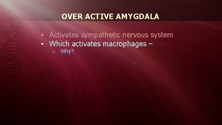 OVER ACTIVE AMYGDALA • Activates sympathetic nervous system • Which activates macrophages – o