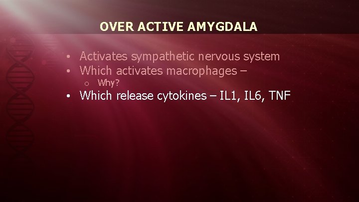 OVER ACTIVE AMYGDALA • Activates sympathetic nervous system • Which activates macrophages – o