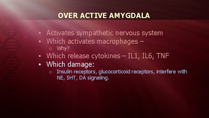 OVER ACTIVE AMYGDALA • Activates sympathetic nervous system • Which activates macrophages – o