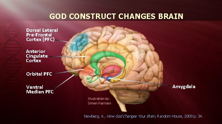GOD CONSTRUCT CHANGES BRAIN Dorsal Lateral Pre-Frontal Cortex (PFC) Anterior Cingulate Cortex Orbital PFC