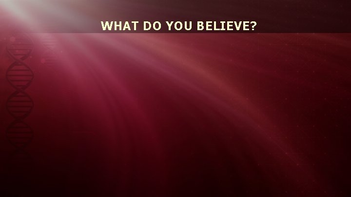 WHAT DO YOU BELIEVE? 