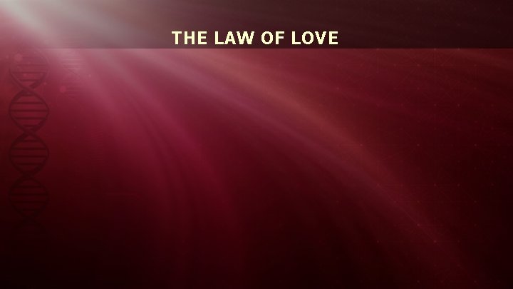 THE LAW OF LOVE 