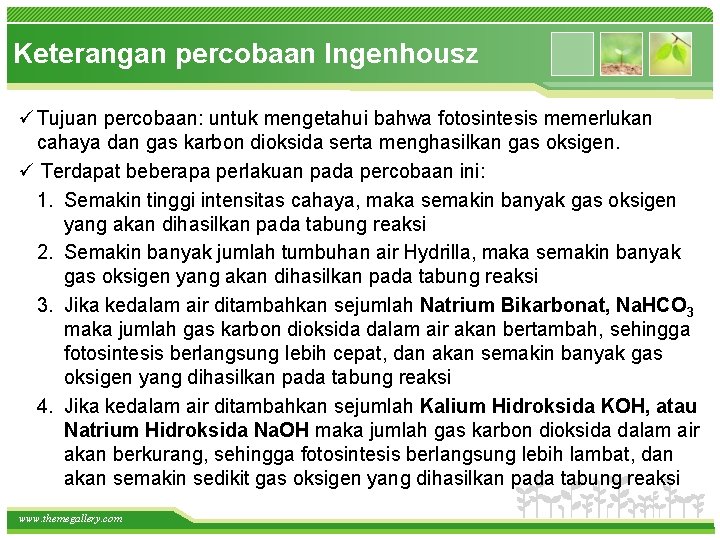 Keterangan percobaan Ingenhousz ü Tujuan percobaan: untuk mengetahui bahwa fotosintesis memerlukan cahaya dan gas