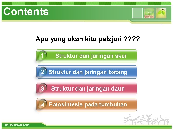 Contents Apa yang akan kita pelajari ? ? 1 Struktur dan jaringan akar 2