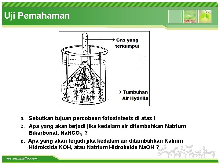 Uji Pemahaman a. Sebutkan tujuan percobaan fotosintesis di atas ! b. Apa yang akan