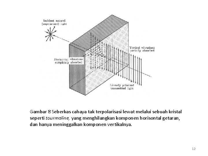 Gambar 8 Seberkas cahaya tak terpolarisasi lewat melalui sebuah kristal seperti tourmaline, yang menghilangkan