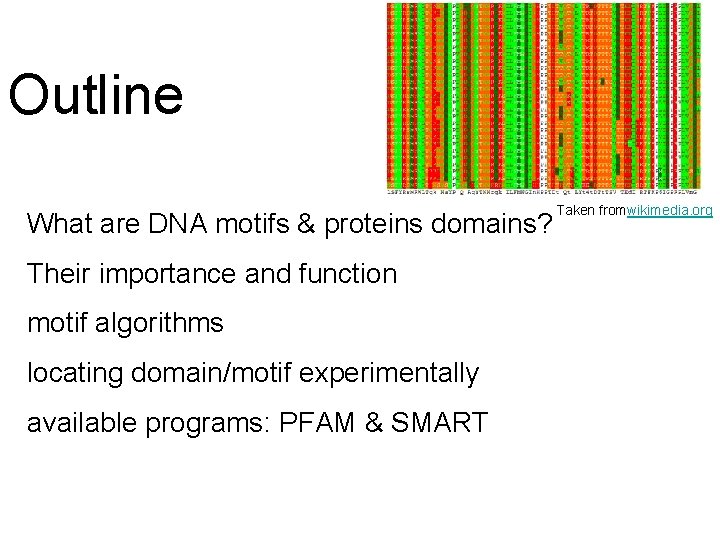 Outline What are DNA motifs & proteins domains? Their importance and function motif algorithms