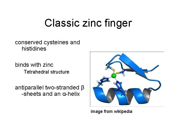 Classic zinc finger conserved cysteines and histidines binds with zinc Tetrahedral structure antiparallel two-stranded