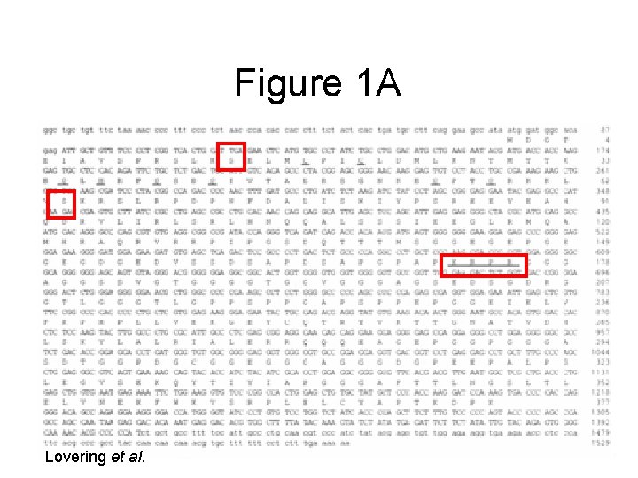 Figure 1 A Lovering et al. 