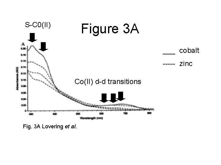 S-C 0(II) Figure 3 A ___ cobalt ----- zinc Co(II) d-d transitions Fig. 3