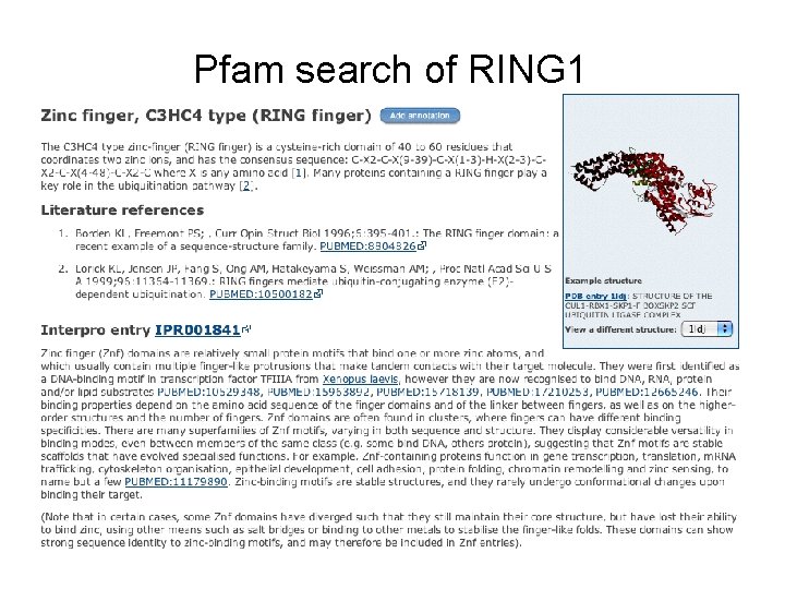 Pfam search of RING 1 