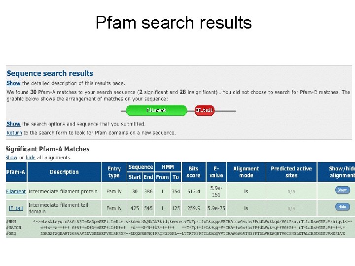 Pfam search results 