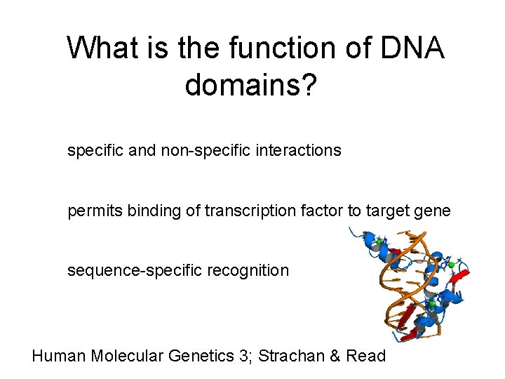What is the function of DNA domains? specific and non-specific interactions permits binding of