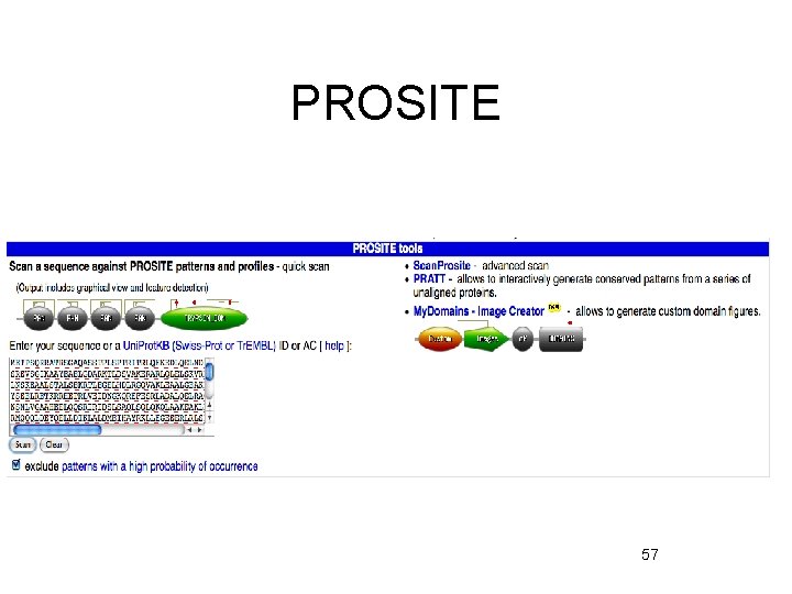 PROSITE 57 