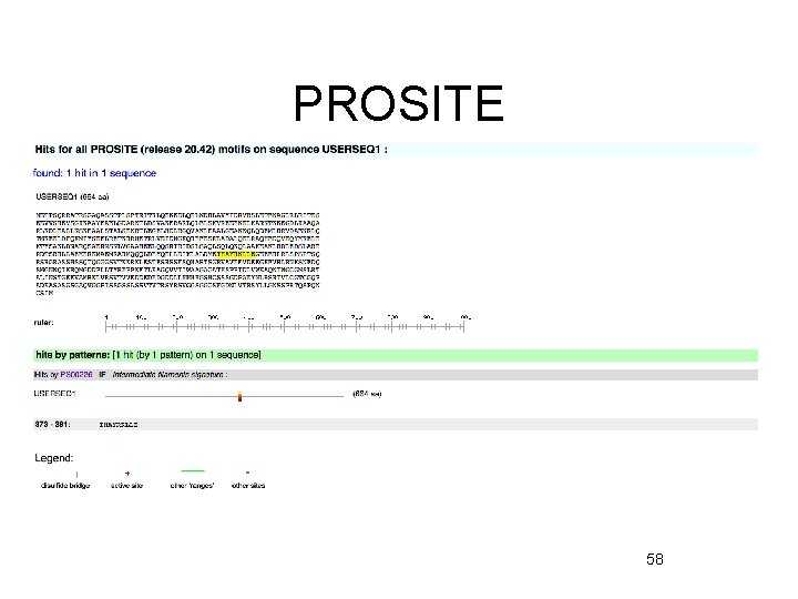 PROSITE 58 