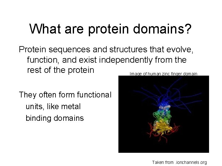 What are protein domains? Protein sequences and structures that evolve, function, and exist independently