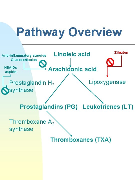 Pathway Overview Anti-inflammatory steroids Glucocorticoids NSAIDs aspirin Linoleic acid Zileuton Arachidonic acid Prostaglandin H