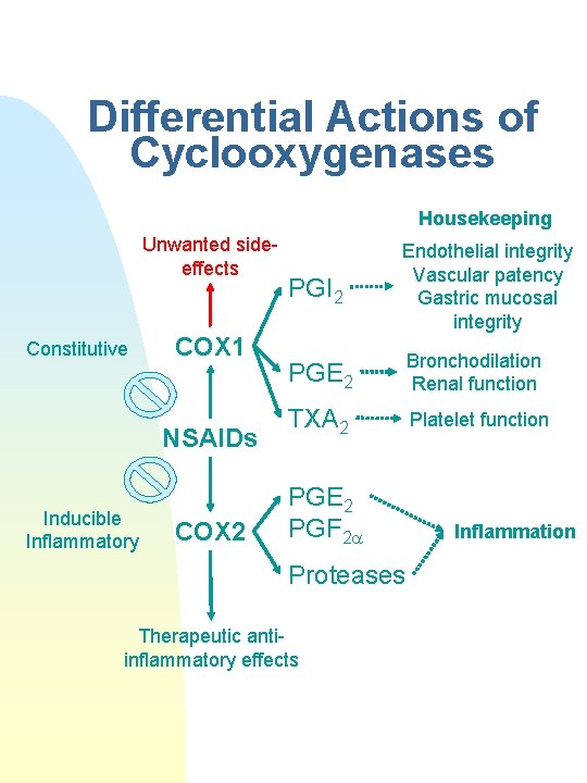 Differential Actions of Cyclooxygenases Housekeeping Unwanted sideeffects Constitutive COX 1 NSAIDs Inducible Inflammatory COX