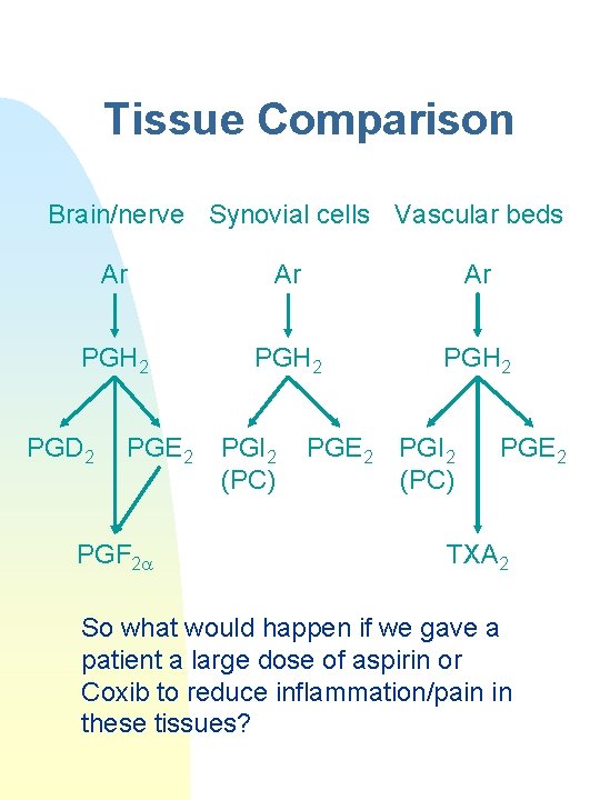 Tissue Comparison Brain/nerve Synovial cells Vascular beds Ar Ar Ar PGH 2 PGD 2
