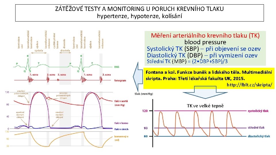 ZÁTĚŽOVÉ TESTY A MONITORING U PORUCH KREVNÍHO TLAKU hypertenze, hypotenze, kolísání Měření arteriálního krevního