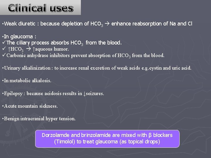 Clinical uses • Weak diuretic : because depletion of HCO 3 enhance reabsorption of