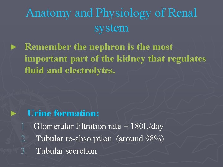 Anatomy and Physiology of Renal system ► ► Remember the nephron is the most