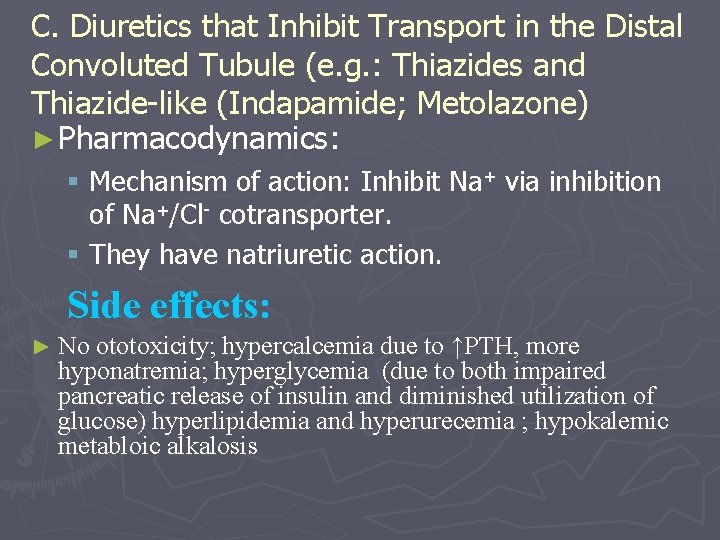 C. Diuretics that Inhibit Transport in the Distal Convoluted Tubule (e. g. : Thiazides