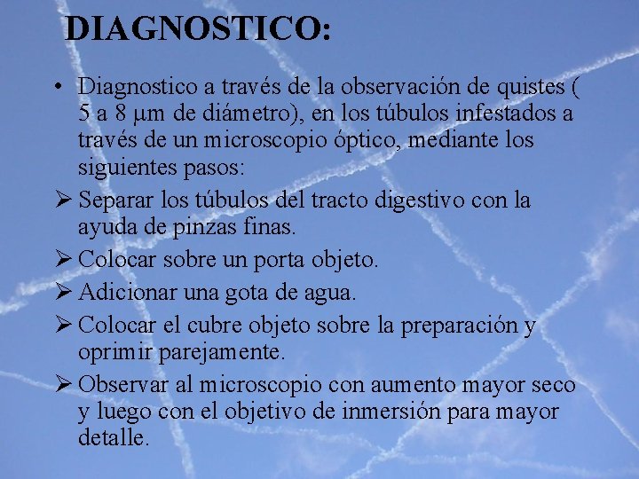 DIAGNOSTICO: • Diagnostico a través de la observación de quistes ( 5 a 8