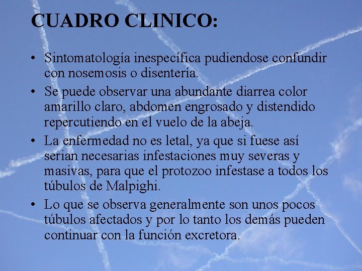 CUADRO CLINICO: • Sintomatología inespecífica pudiendose confundir con nosemosis o disentería. • Se puede