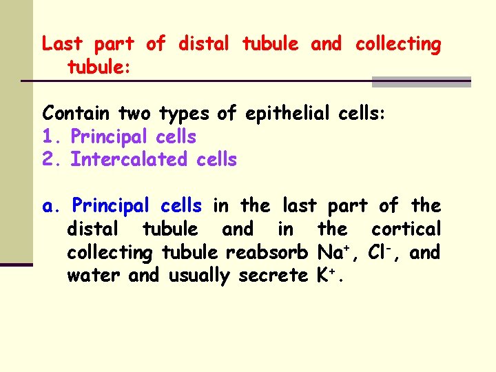 Last part of distal tubule and collecting tubule: Contain two types of epithelial cells:
