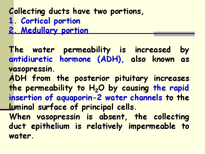 Collecting ducts have two portions, 1. Cortical portion 2. Medullary portion The water permeability