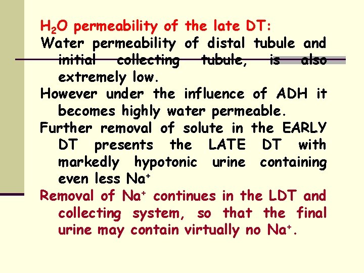 H 2 O permeability of the late DT: Water permeability of distal tubule and