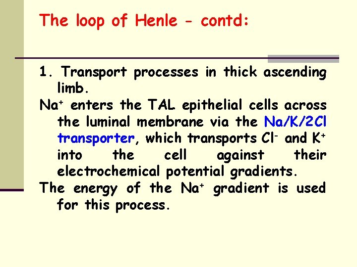 The loop of Henle - contd: 1. Transport processes in thick ascending limb. Na+