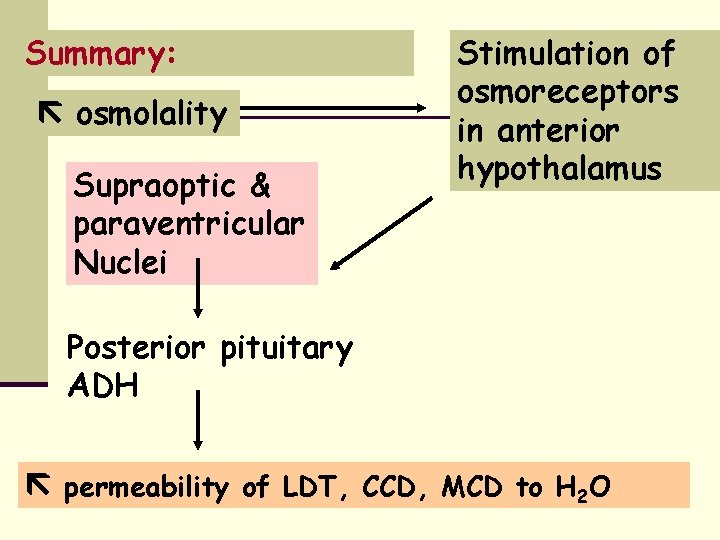 Summary: osmolality Supraoptic & paraventricular Nuclei Stimulation of osmoreceptors in anterior hypothalamus Posterior pituitary