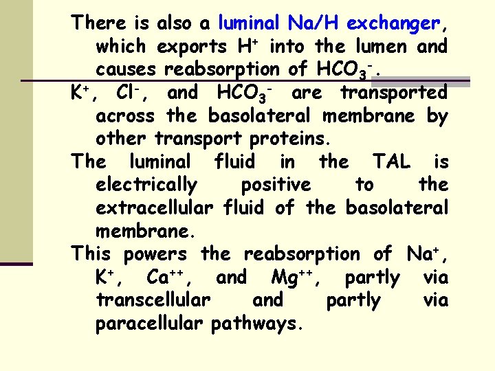 There is also a luminal Na/H exchanger, which exports H+ into the lumen and