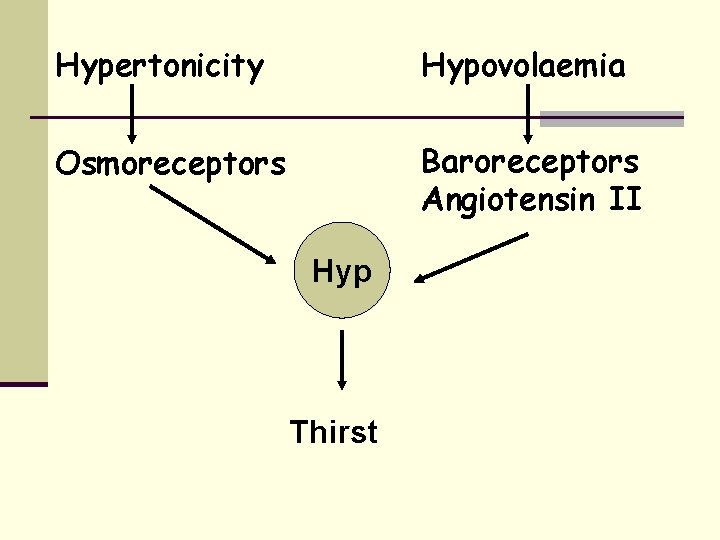 Hypertonicity Hypovolaemia Osmoreceptors Baroreceptors Angiotensin II Hyp Thirst 