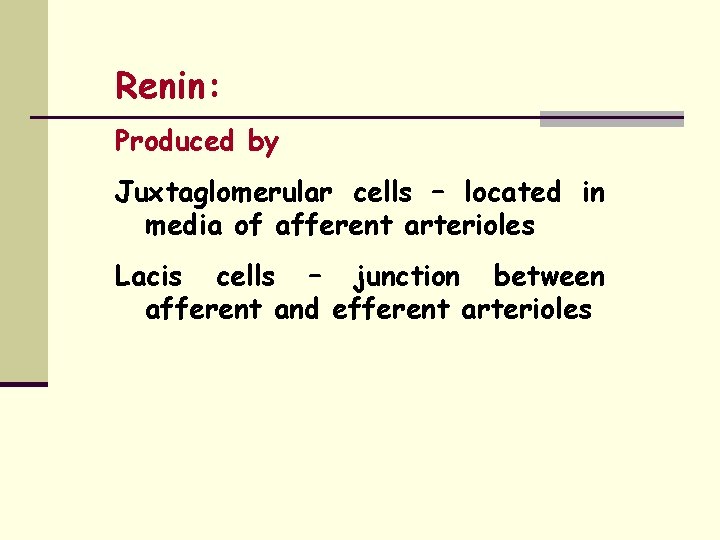 Renin: Produced by Juxtaglomerular cells – located in media of afferent arterioles Lacis cells