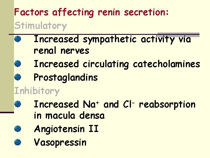 Factors affecting renin secretion: Stimulatory Increased sympathetic activity via renal nerves Increased circulating catecholamines
