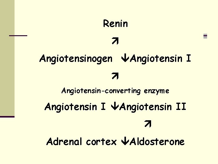 Renin Angiotensinogen Angiotensin I Angiotensin-converting enzyme Angiotensin II Adrenal cortex Aldosterone 
